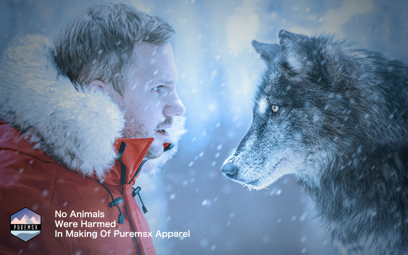 Cruelty-free Winter Jackets You Should Buy in 2021